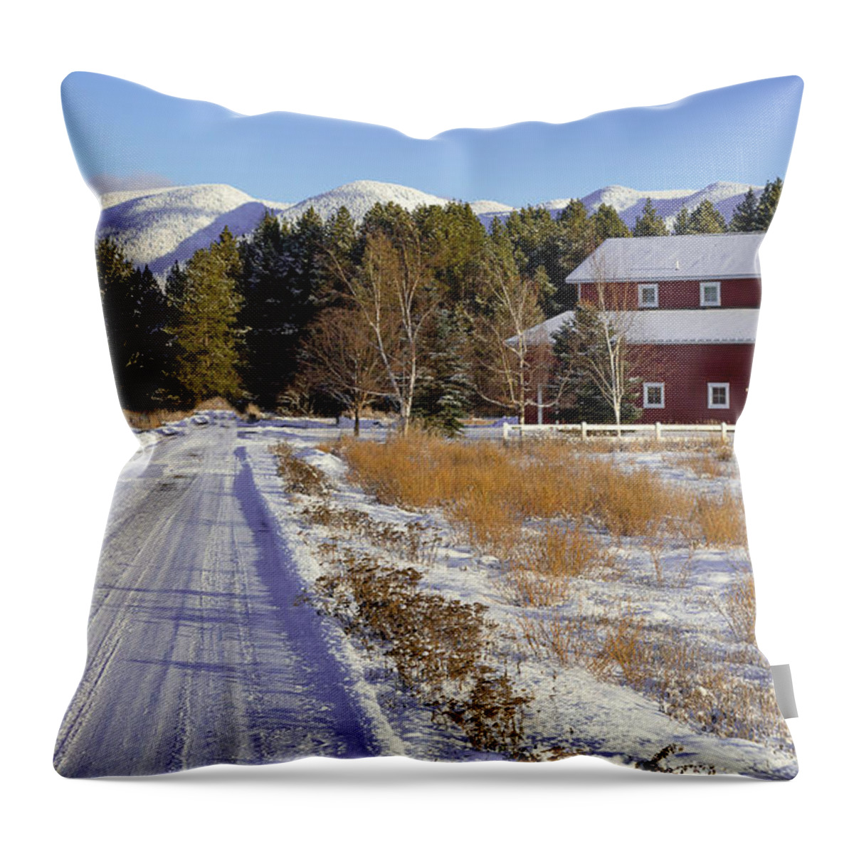 Barn Throw Pillow featuring the photograph Red Barn Scene by Jack Bell
