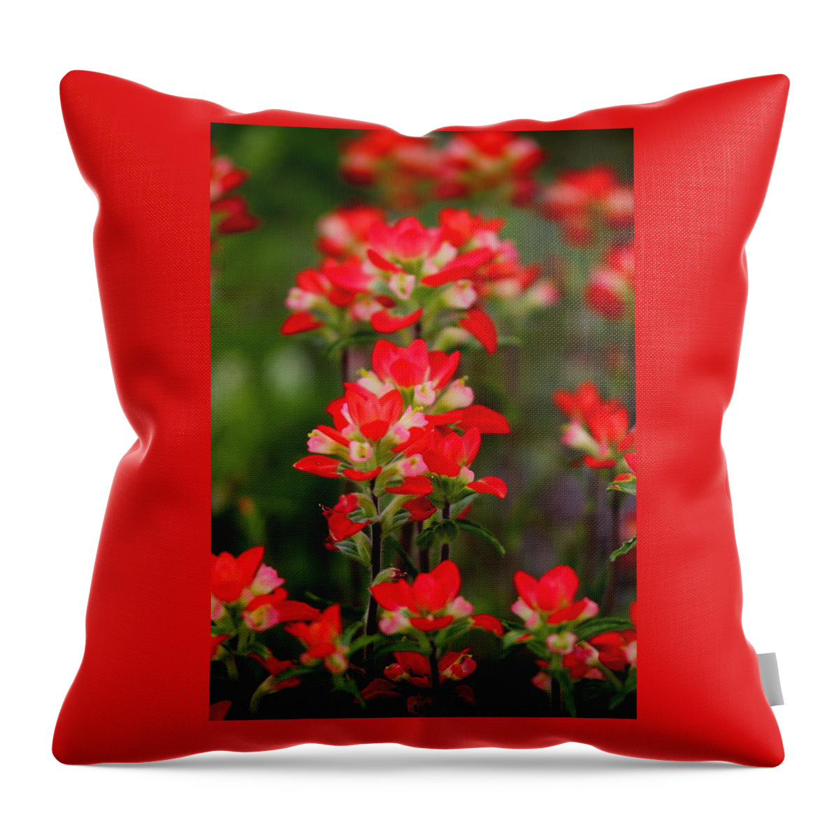 James Smullins Throw Pillow featuring the photograph Red beauties by James Smullins