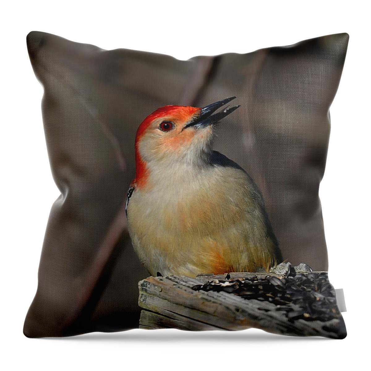 Woodpecker Throw Pillow featuring the photograph Red-Bellied Woodpecker by Lois Bryan