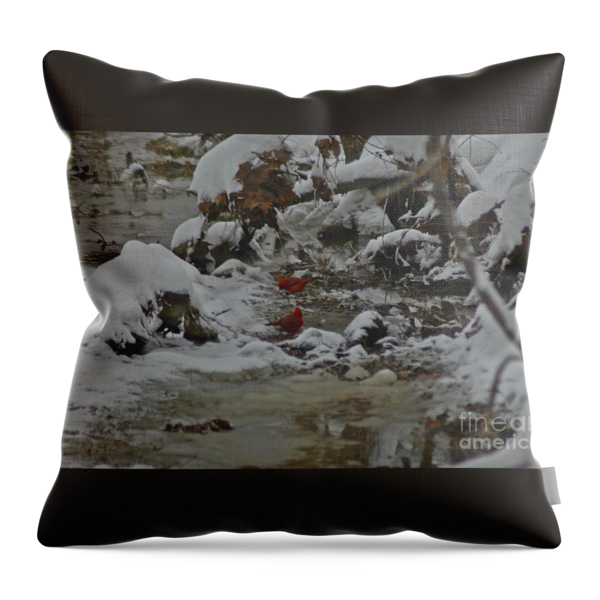 Cardinal Birds Throw Pillow featuring the photograph Red Bird Red Bird by Tracy Rice Frame Of Mind