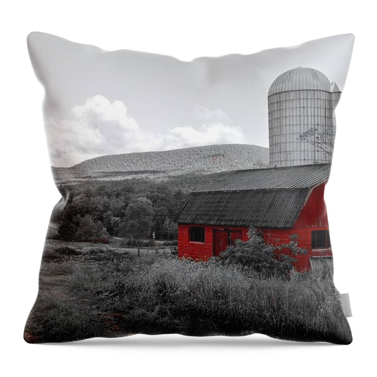 Red Throw Pillow featuring the photograph Red Black and White Frm by Frozen in Time Fine Art Photography