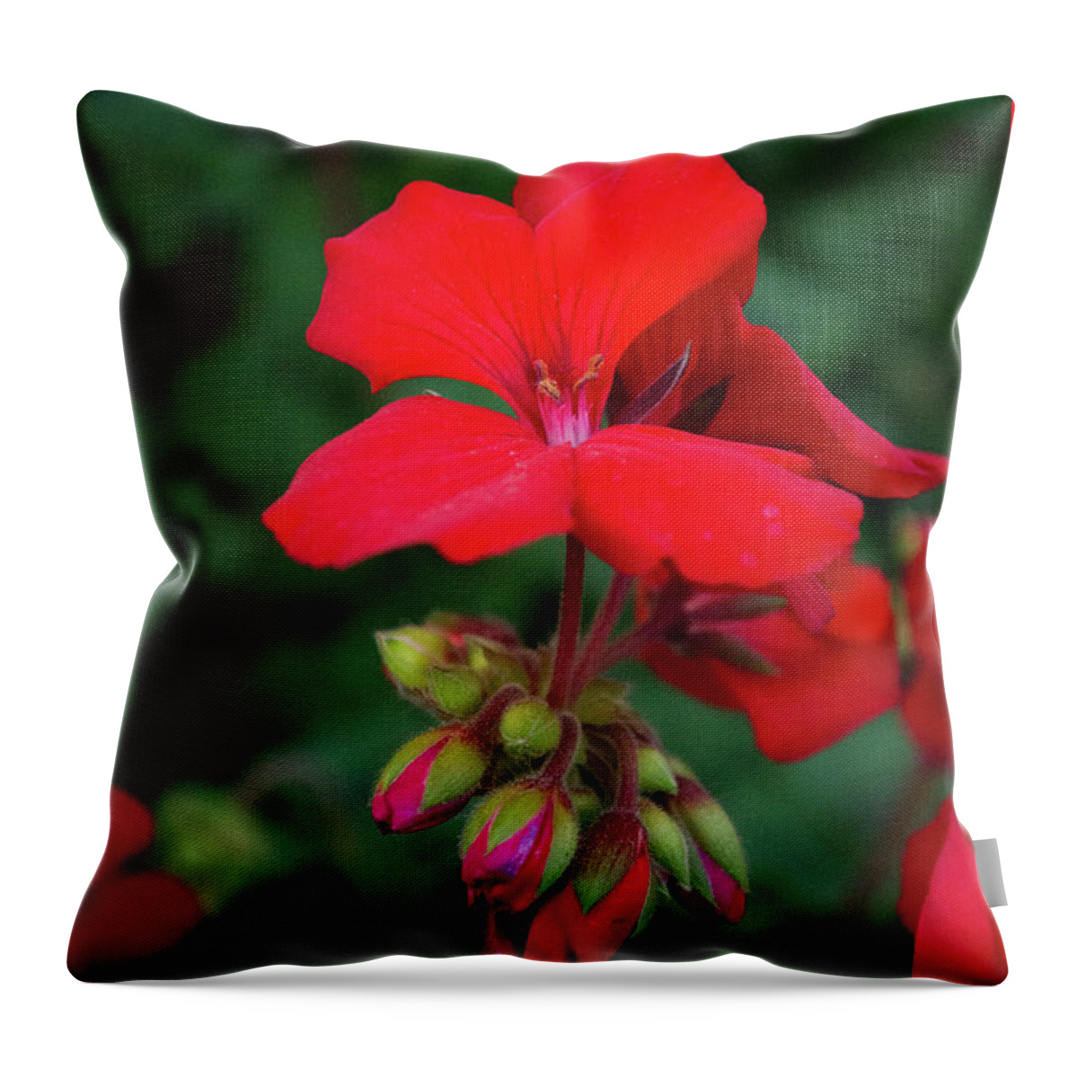 Red Throw Pillow featuring the photograph Red Blooms by Lisa Blake