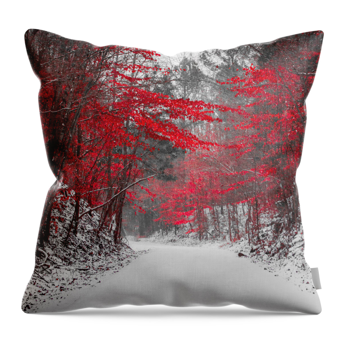 Red Blossoms Throw Pillow featuring the photograph Red Blossoms Horizontal by Parker Cunningham