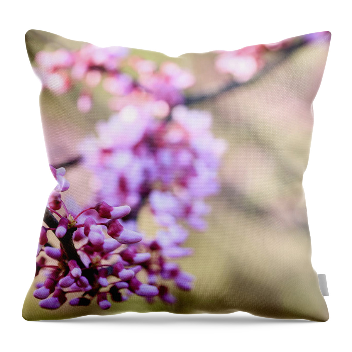 Illinois Throw Pillow featuring the photograph Red Bud Booties by Joni Eskridge