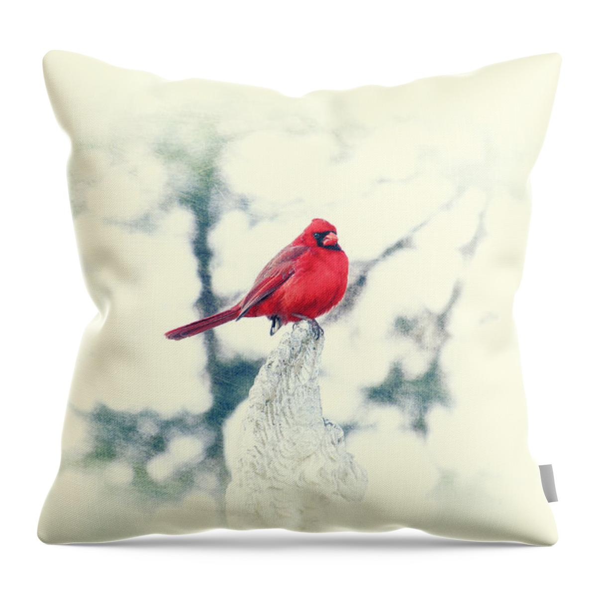 Red Cardinal Throw Pillow featuring the photograph Red Cardinal on Angel Wing by Charline Xia