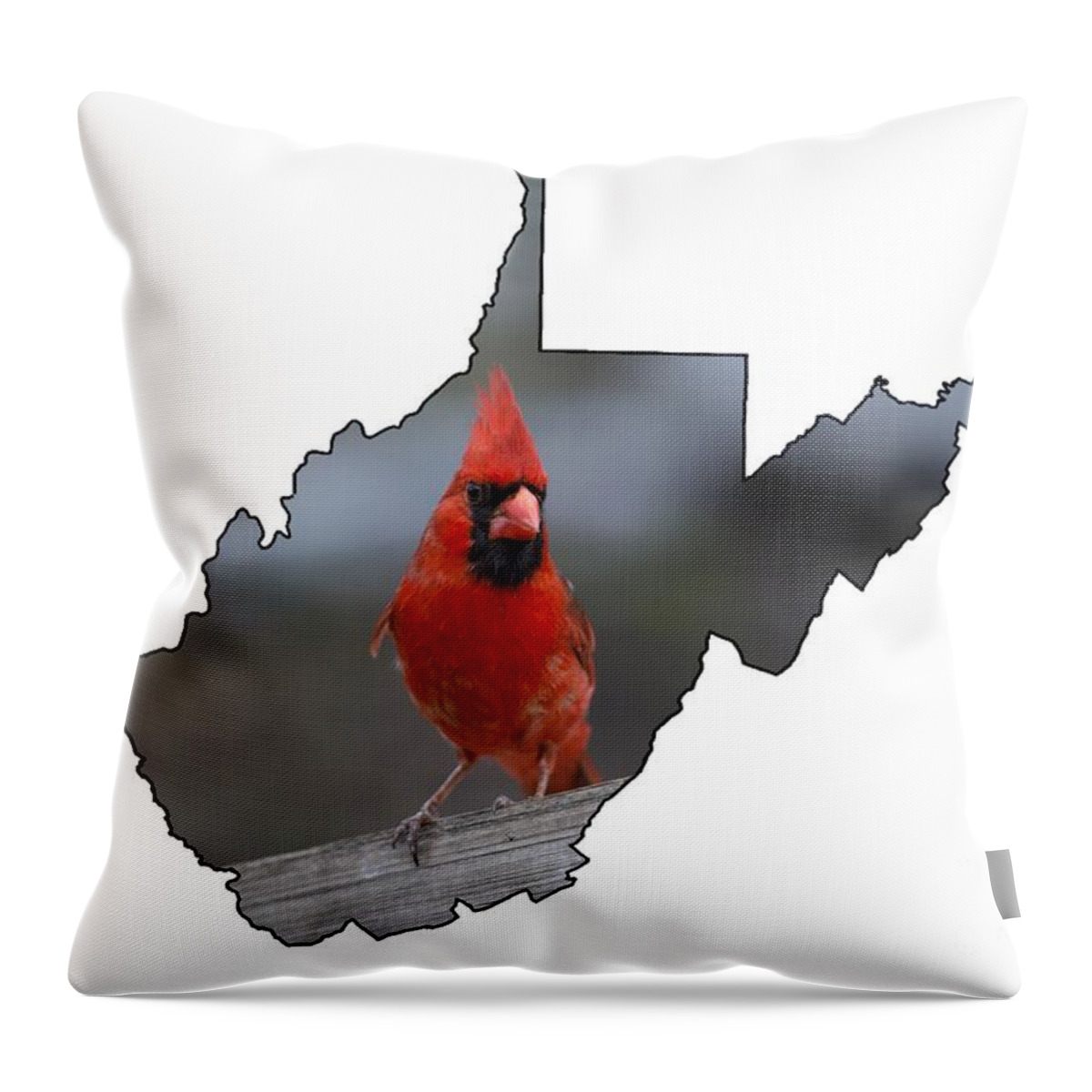 Cardinal; Bird; Red; Outdoors; Nature; Male Throw Pillow featuring the photograph Red cardinal looking for food by Dan Friend