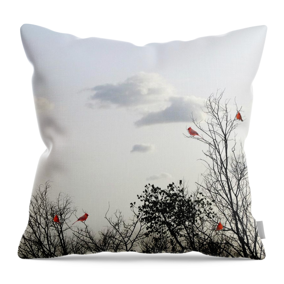 Red Cardinals Throw Pillow featuring the photograph Red Cardinals by Marianna Mills