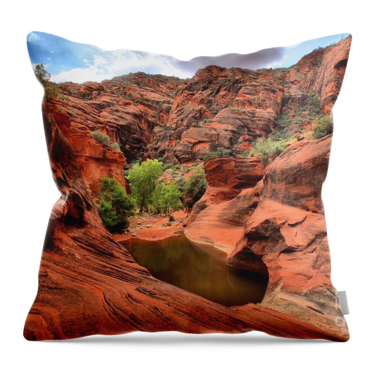 Red Cliffs Throw Pillow featuring the photograph Red Cliffs Waterhole by Adam Jewell