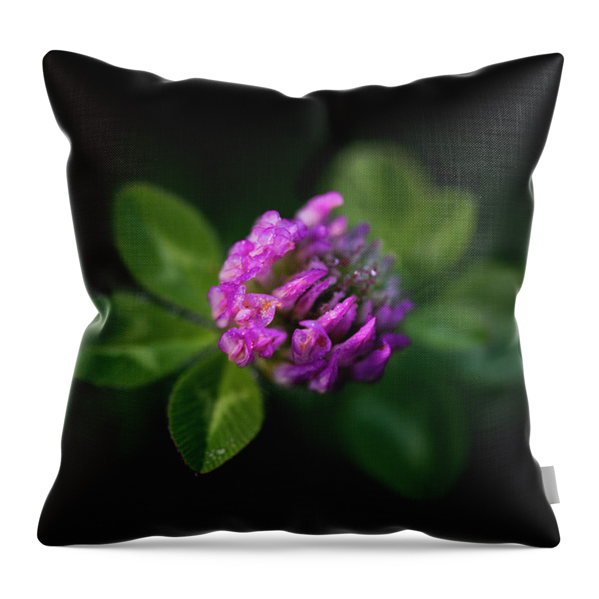 Red Clover Throw Pillow featuring the photograph Red Clover by Dale Kincaid
