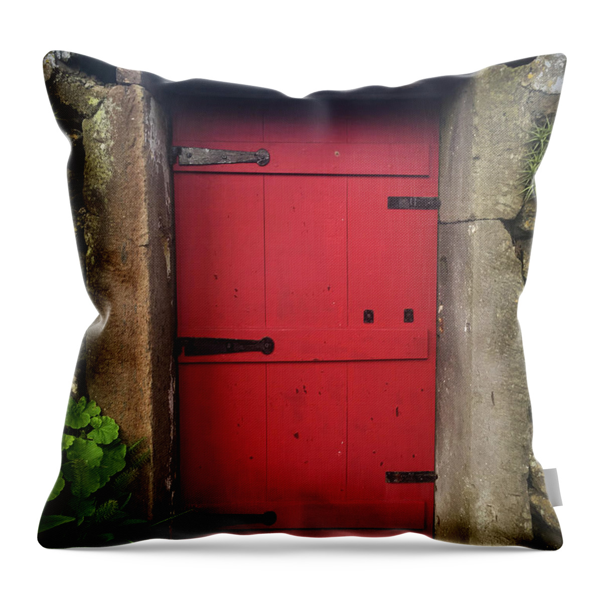 Kelly Hazel Throw Pillow featuring the photograph Red Door at the Wine Museum of Biscoitos by Kelly Hazel