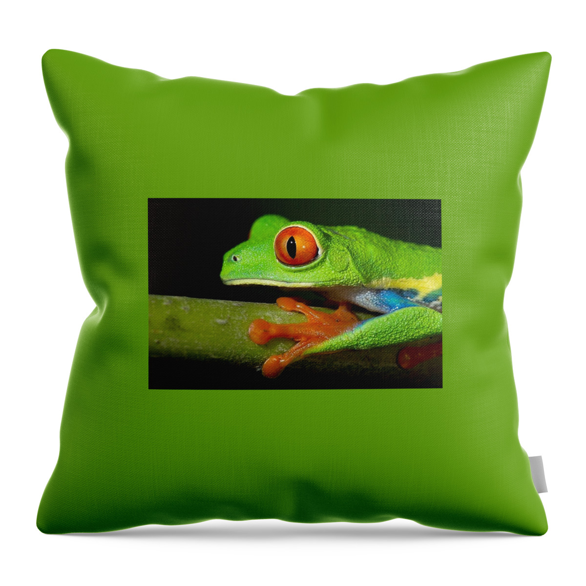Red Eyed Tree Frog Throw Pillow featuring the digital art Red Eyed Tree Frog by Maye Loeser