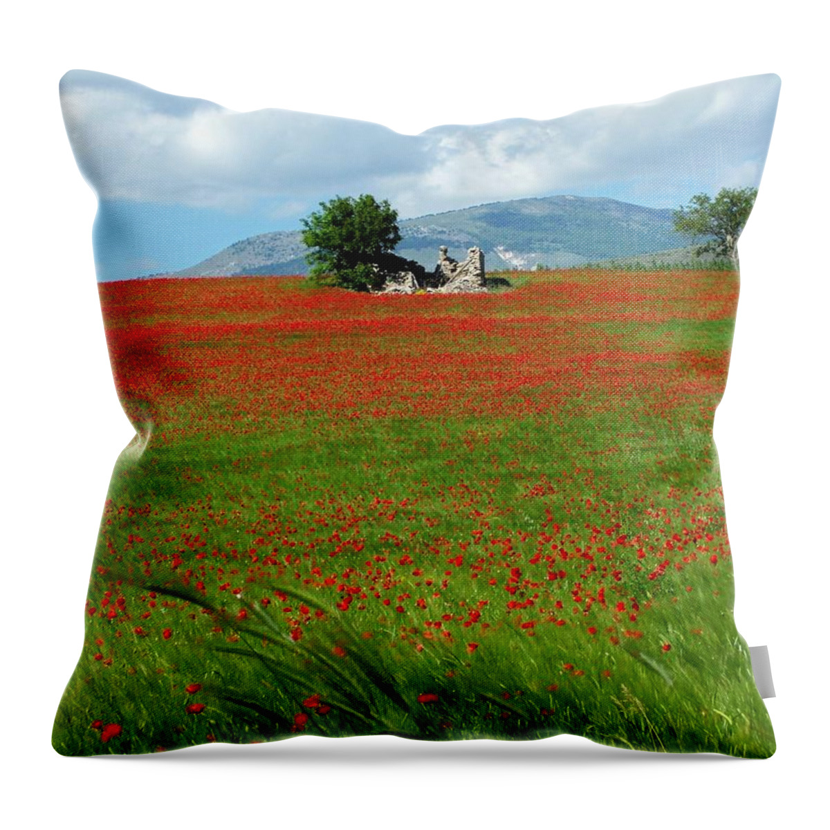 Poppies Throw Pillow featuring the photograph Red Fields by Judy Kirouac