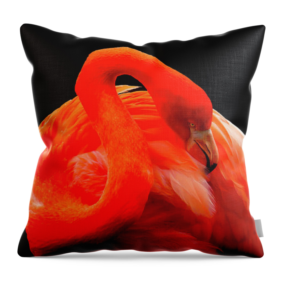 Flamingo Throw Pillow featuring the photograph Red Flamingo Art Photography - Birds Wall Art Prints by Wall Art Prints