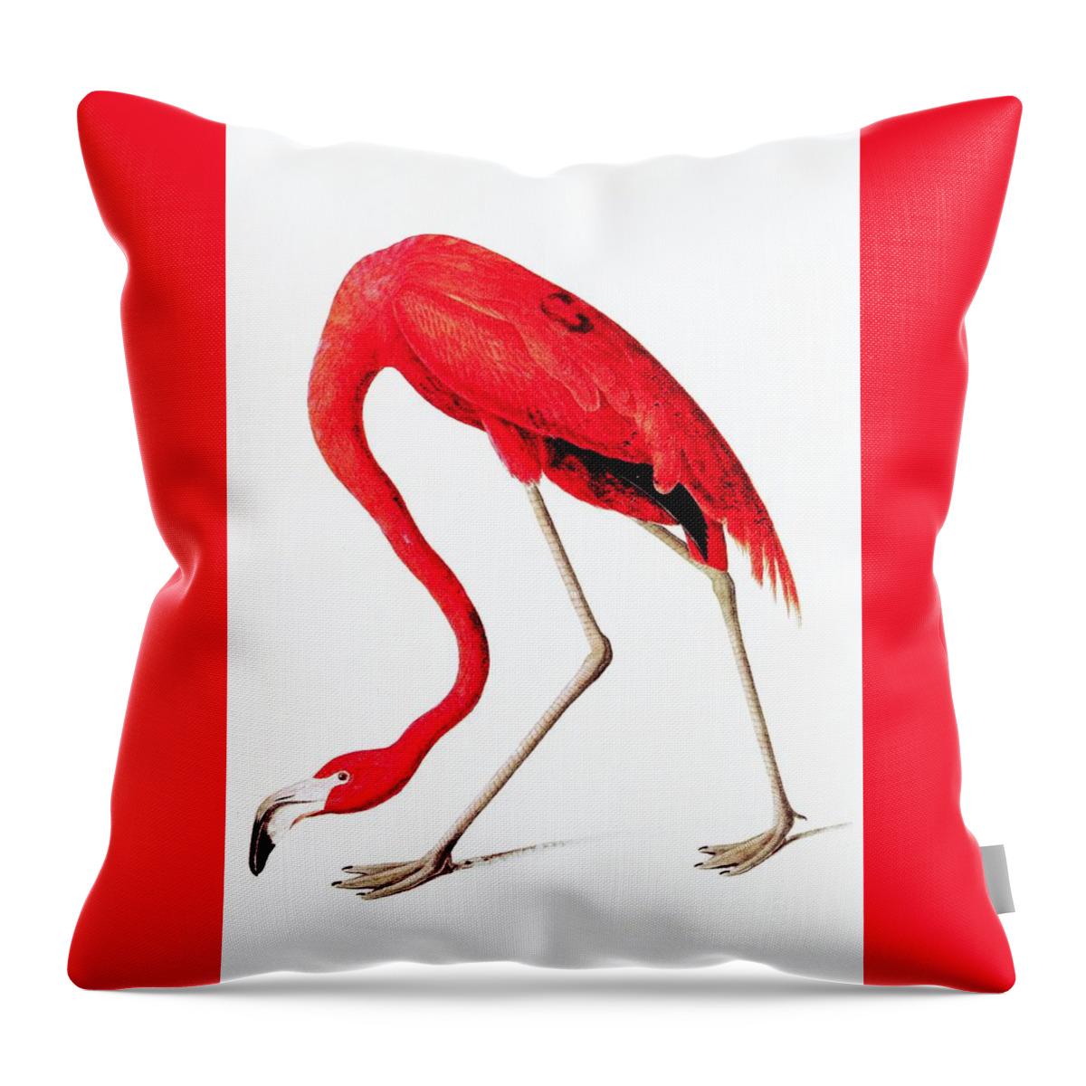  Vintage Throw Pillow featuring the digital art Red flamingo from Audubon by Heidi De Leeuw