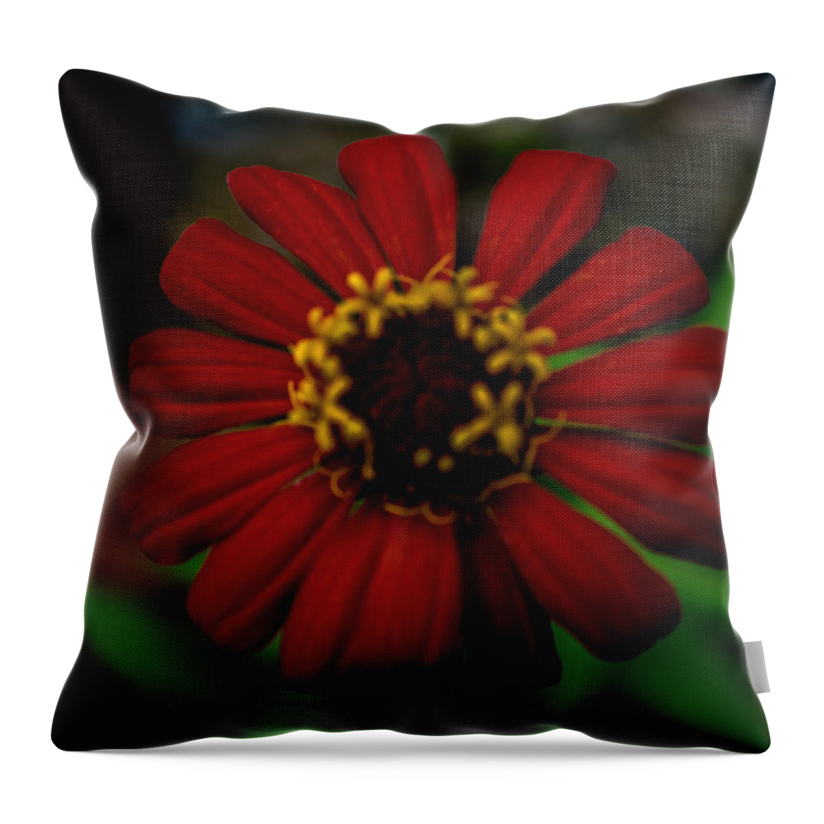 Orange Throw Pillow featuring the photograph Red Flower 8 by Totto Ponce