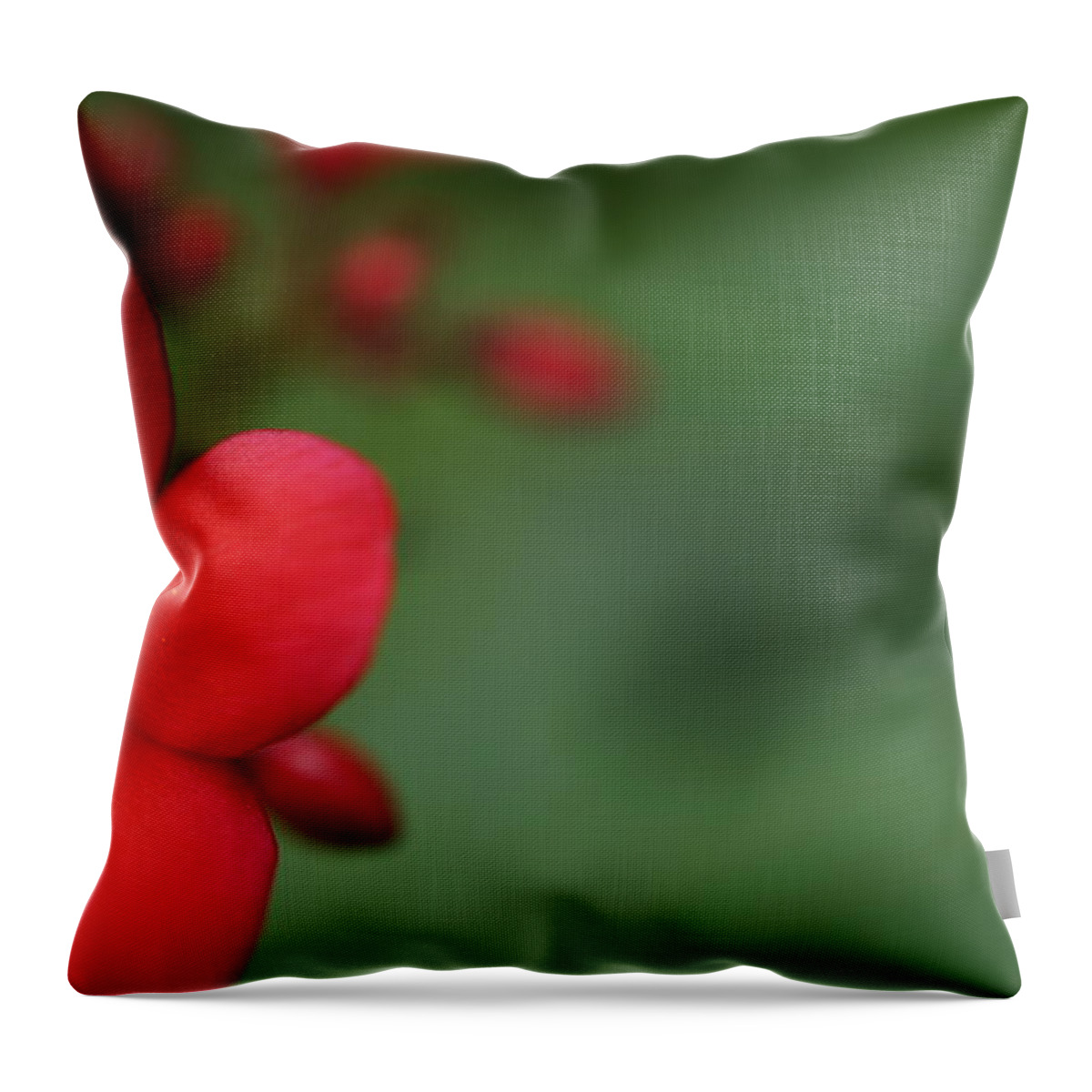 Garden Throw Pillow featuring the photograph Red Flower by Faashie Sha