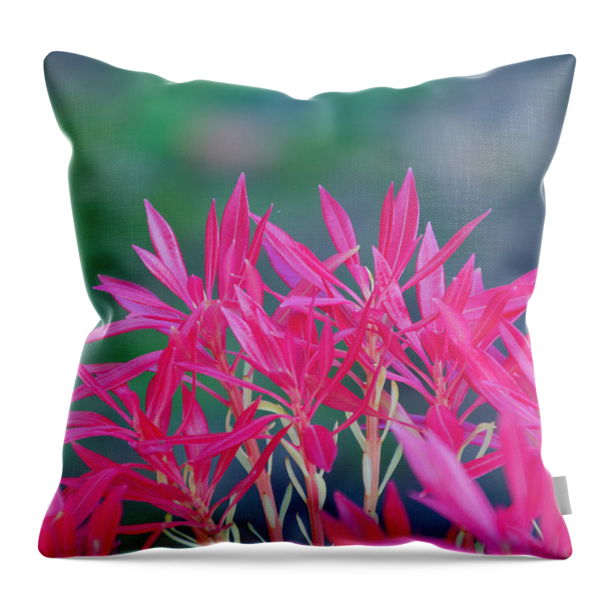 Red Throw Pillow featuring the photograph Red Flower in Donegal Ireland by Bill Cannon