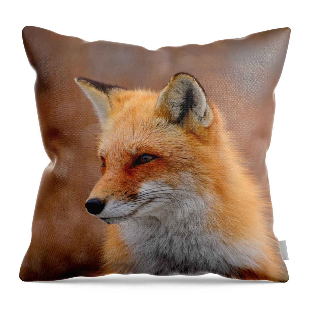 Red Fox Throw Pillow featuring the photograph Red Fox 4 by Raymond Salani III