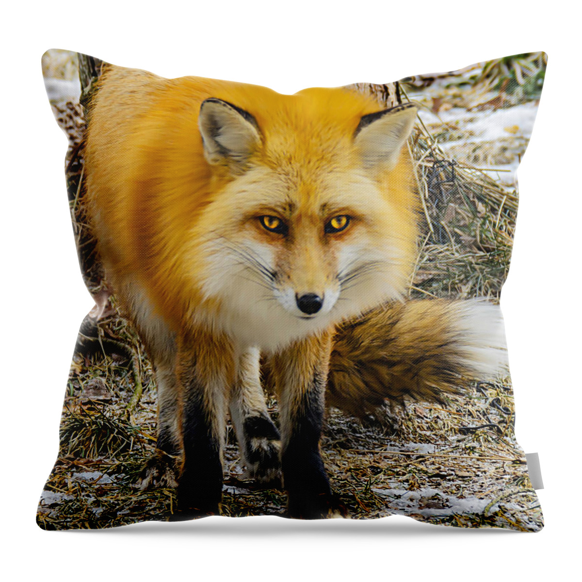 Nature Wear Throw Pillow featuring the photograph Red Fox Nature Wear by LeeAnn McLaneGoetz McLaneGoetzStudioLLCcom