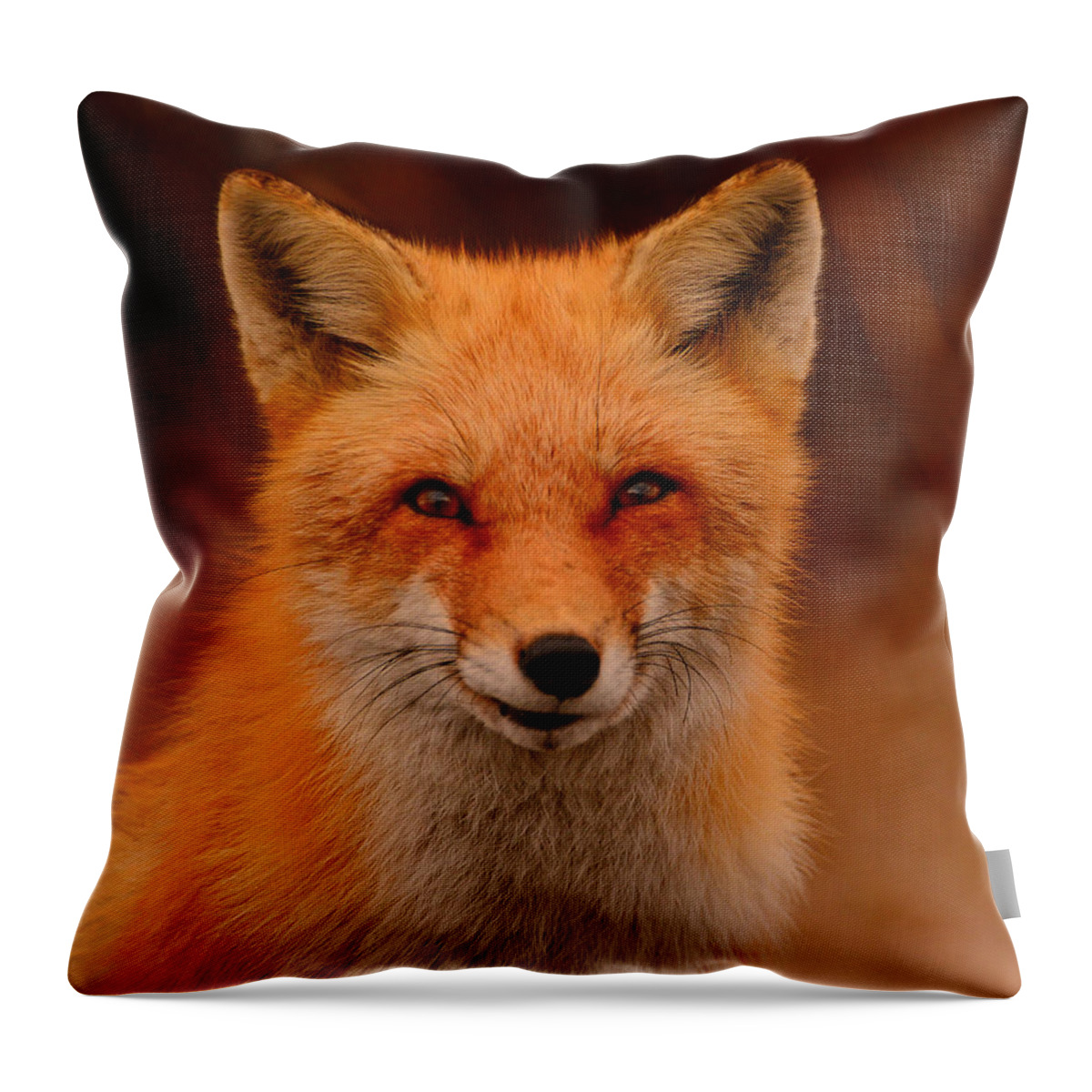 Red Fox Throw Pillow featuring the photograph Red Fox by Raymond Salani III