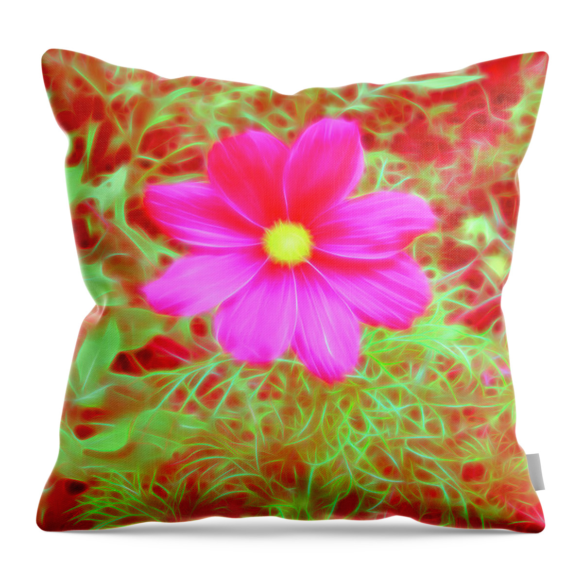 Flower Throw Pillow featuring the photograph Red Glow Pink Cosmos by Aimee L Maher ALM GALLERY