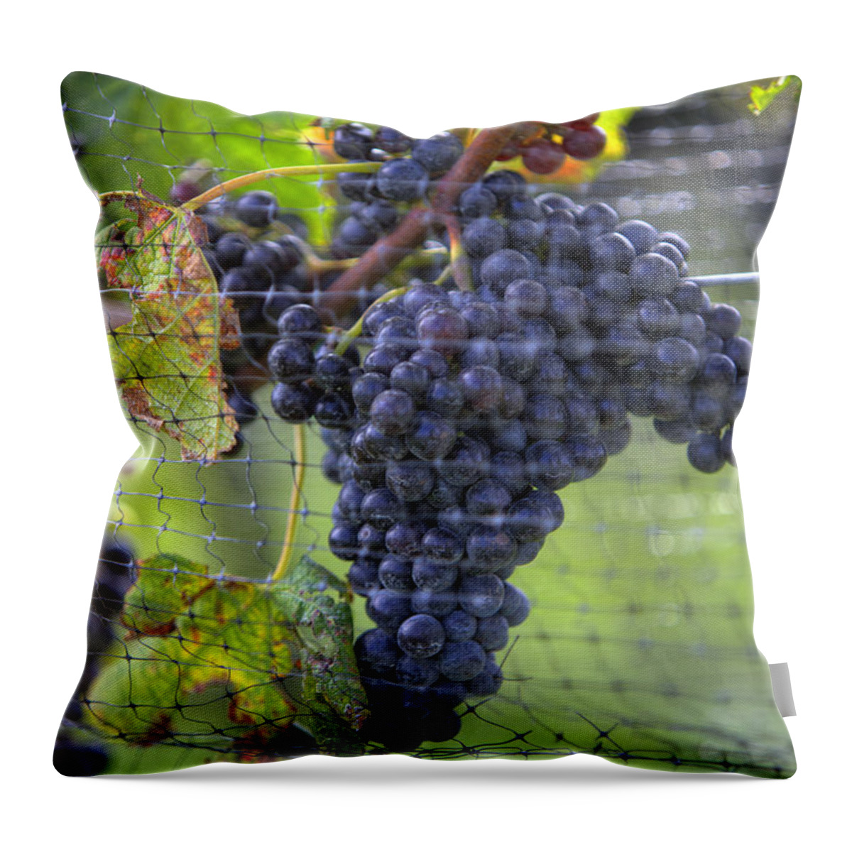 Grapes Throw Pillow featuring the photograph Red grapes by Steve Gravano