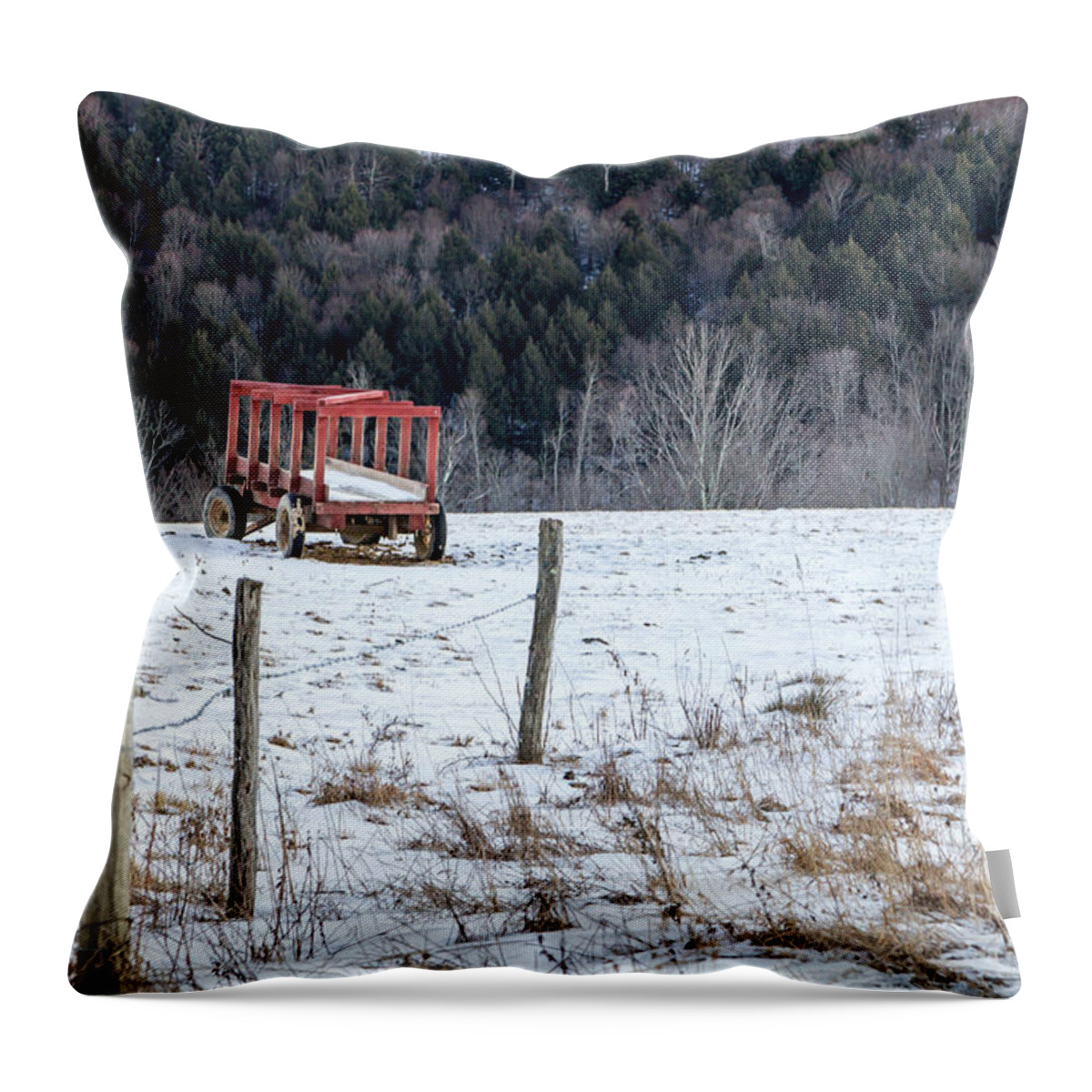 Red Throw Pillow featuring the photograph Red Hay Wagon by Frank Morales Jr