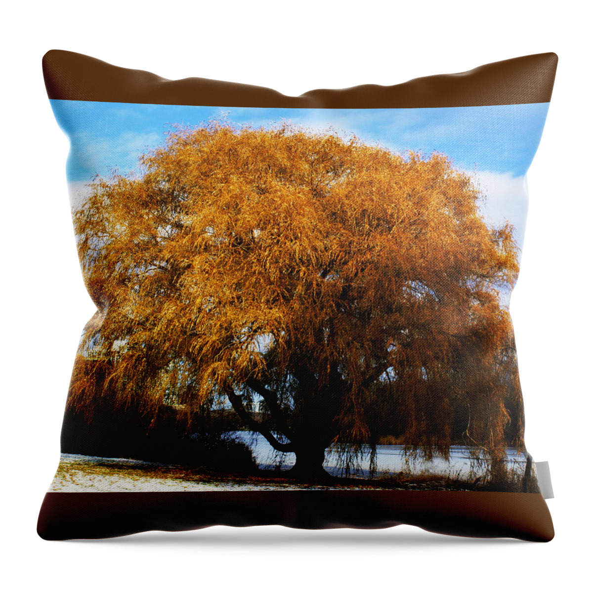 Landscape Throw Pillow featuring the photograph Red Head by Jean Wolfrum