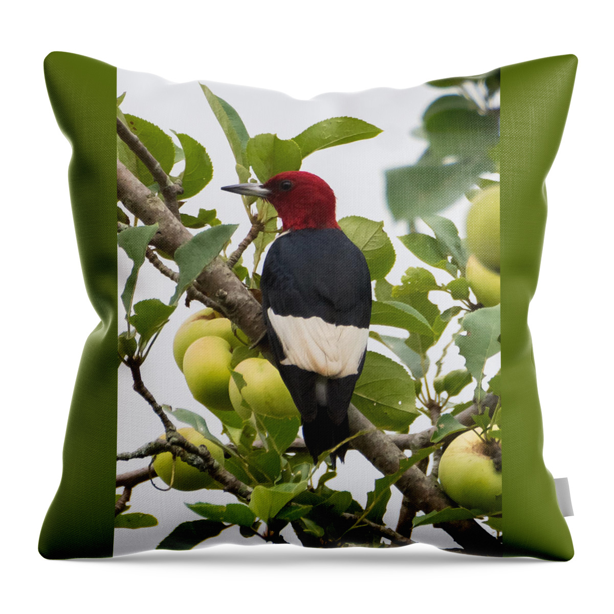 Red-headed Woodpecker Throw Pillow featuring the photograph Red-Headed Woodpecker by Holden The Moment
