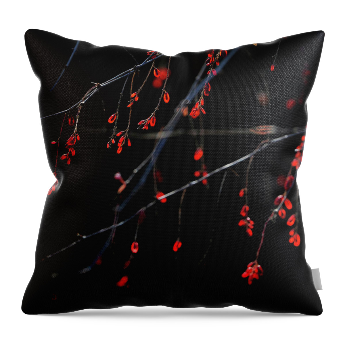 Leaves Throw Pillow featuring the photograph Red In Winter by Catherine Lau