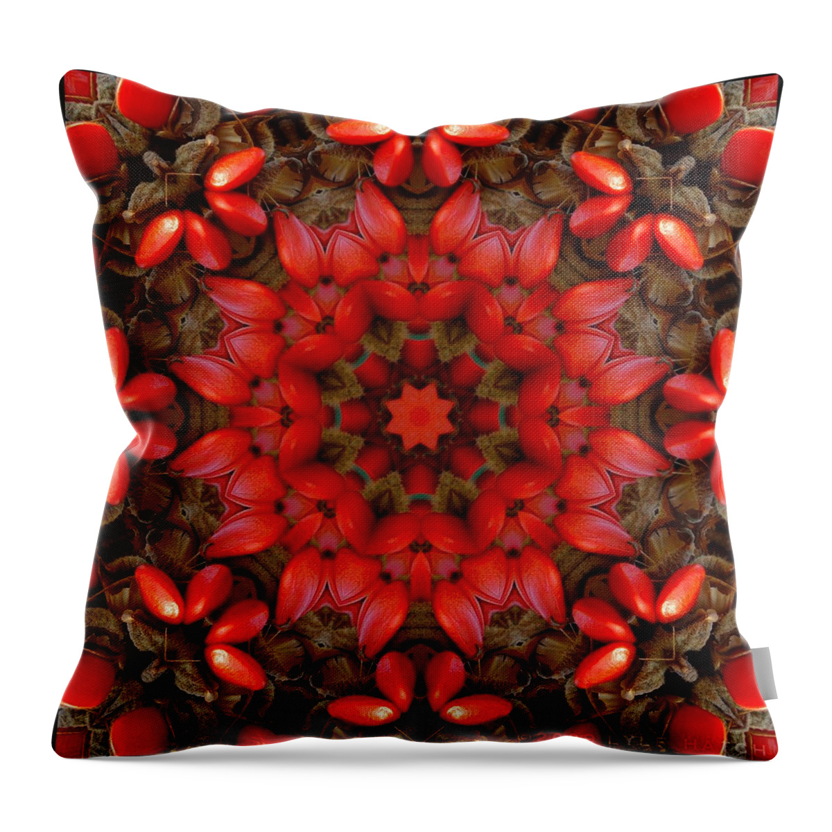 Kaleidoscope Throw Pillow featuring the digital art Red Kaleidoscope No. 1 by Lyle Hatch