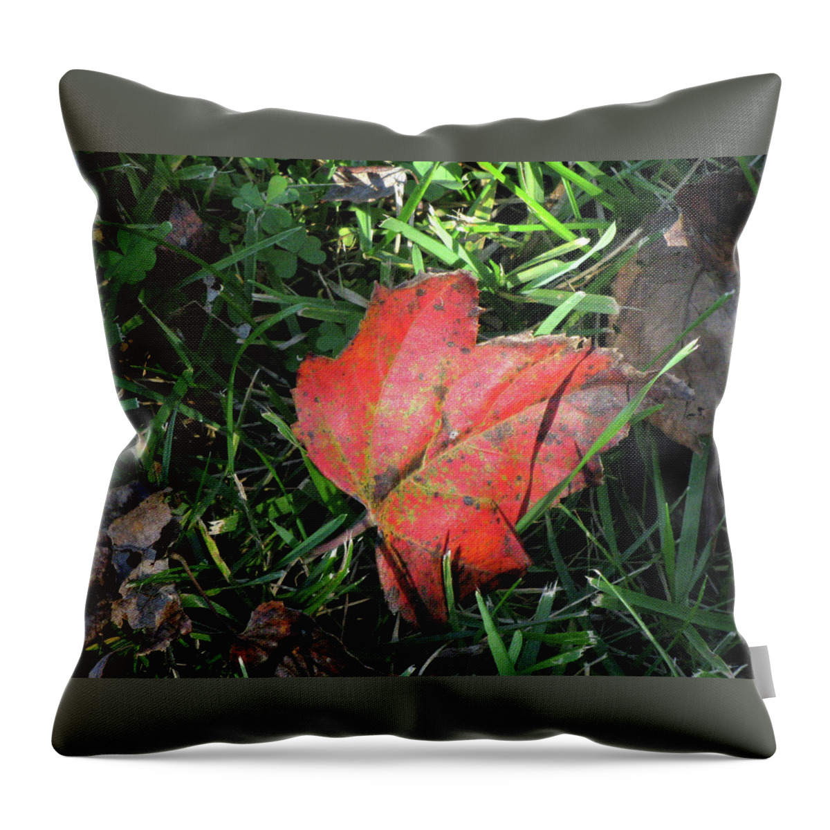 Leaf Throw Pillow featuring the photograph Red Leaf Against Green Grass by Michele Wilson