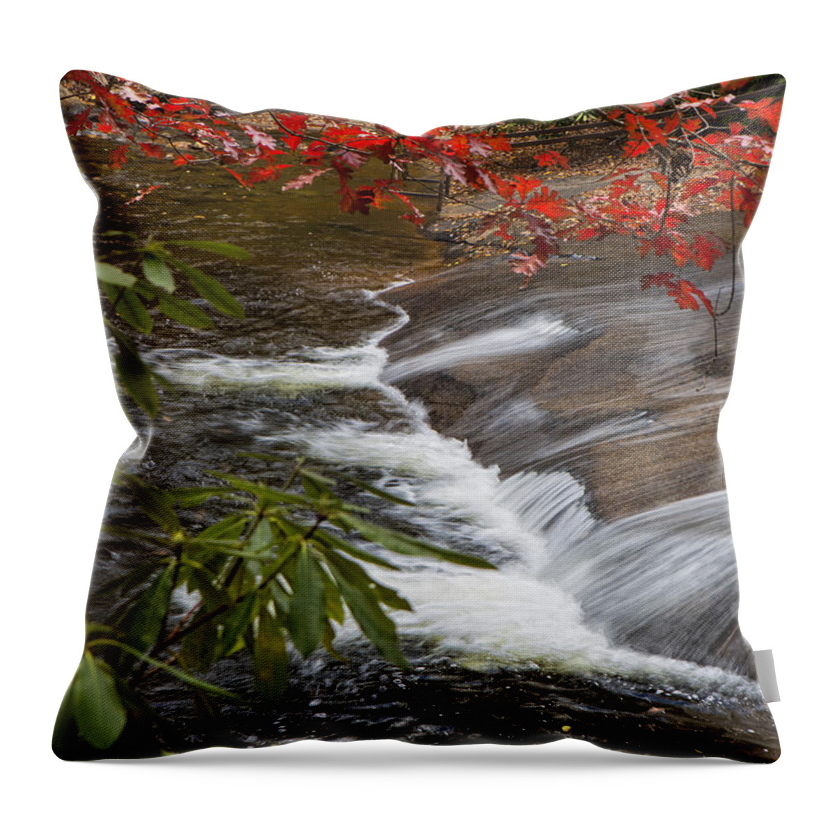 Waterfalls Throw Pillow featuring the photograph Red Leaf Falls by Ken Barrett