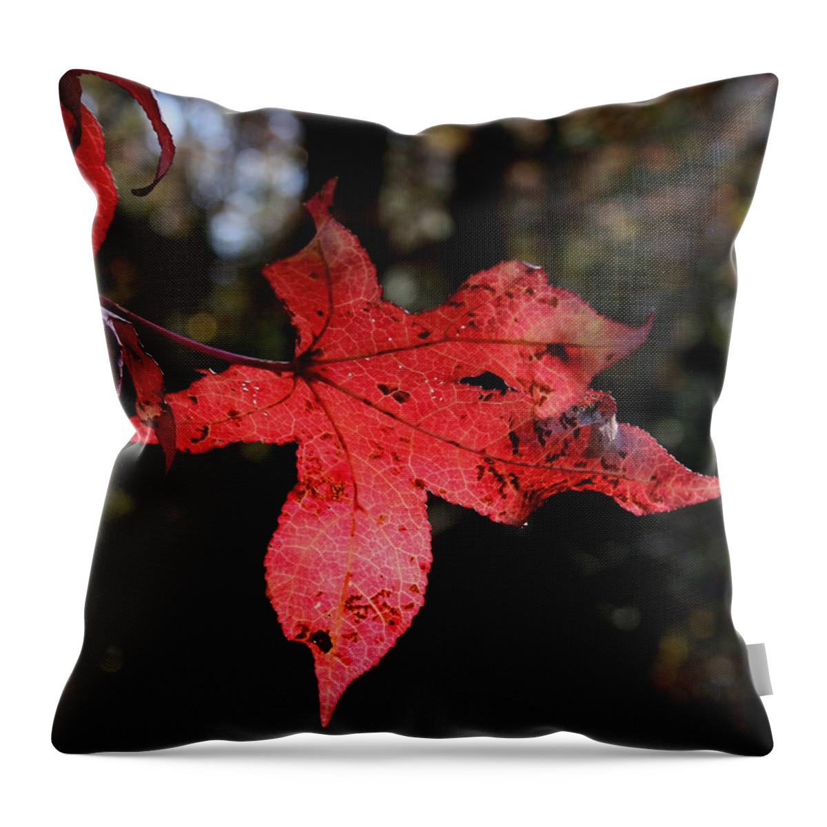 Leaf Throw Pillow featuring the photograph Red Leaf by Karen Harrison Brown