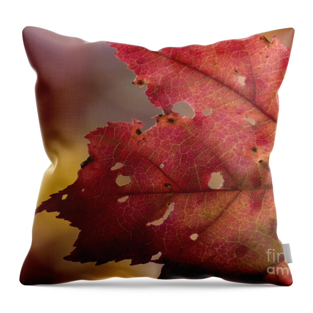 Autumn Leaves Throw Pillow featuring the photograph Red Leaf by Lili Feinstein