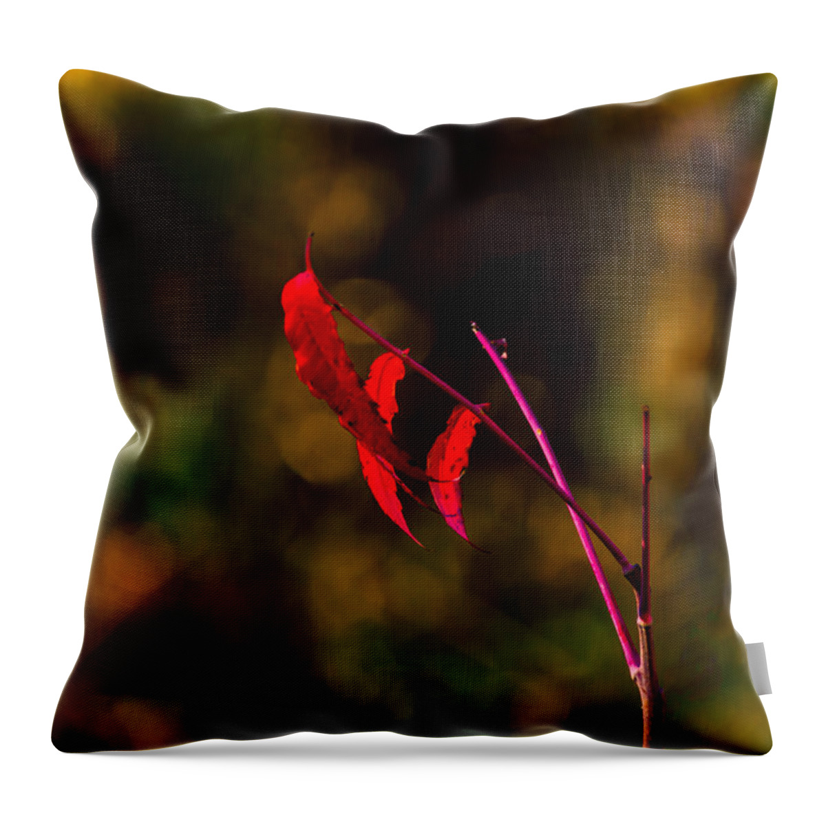 Jay Stockhaus Throw Pillow featuring the photograph Red Leaves by Jay Stockhaus