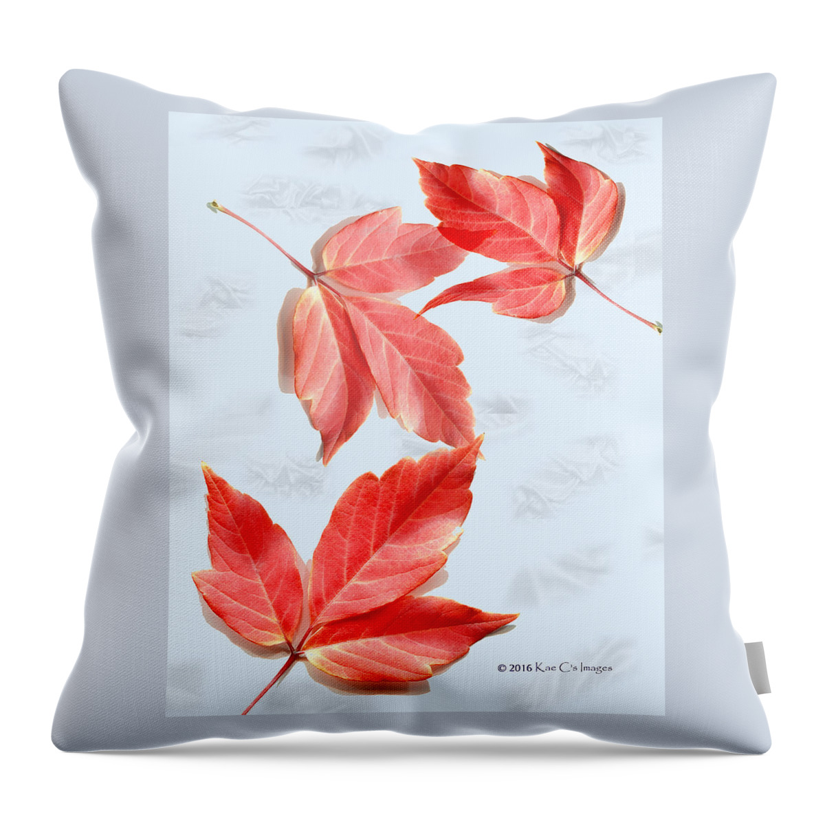 Red Leaves Throw Pillow featuring the photograph Red Leaves on Blue texture by Kae Cheatham