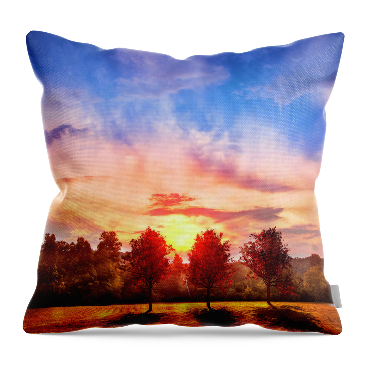 Appalachia Throw Pillow featuring the photograph Red Maples at Sunset by Debra and Dave Vanderlaan