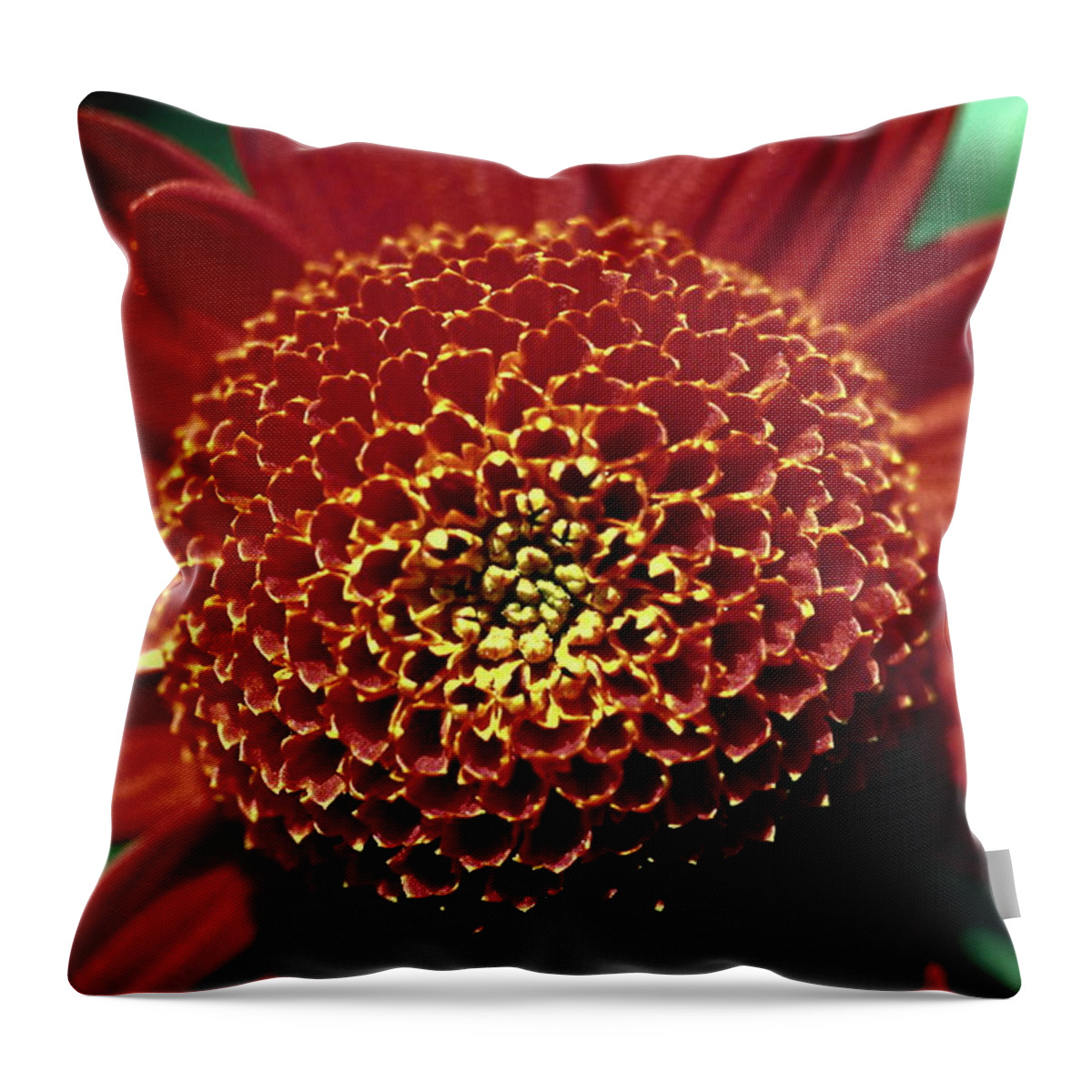 Red Mum Center; Close-up Throw Pillow featuring the photograph Red Mum Center by Sally Weigand