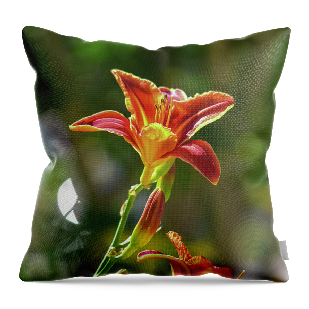 Linda Brody Throw Pillow featuring the photograph Red Orange Day Lilies I by Linda Brody