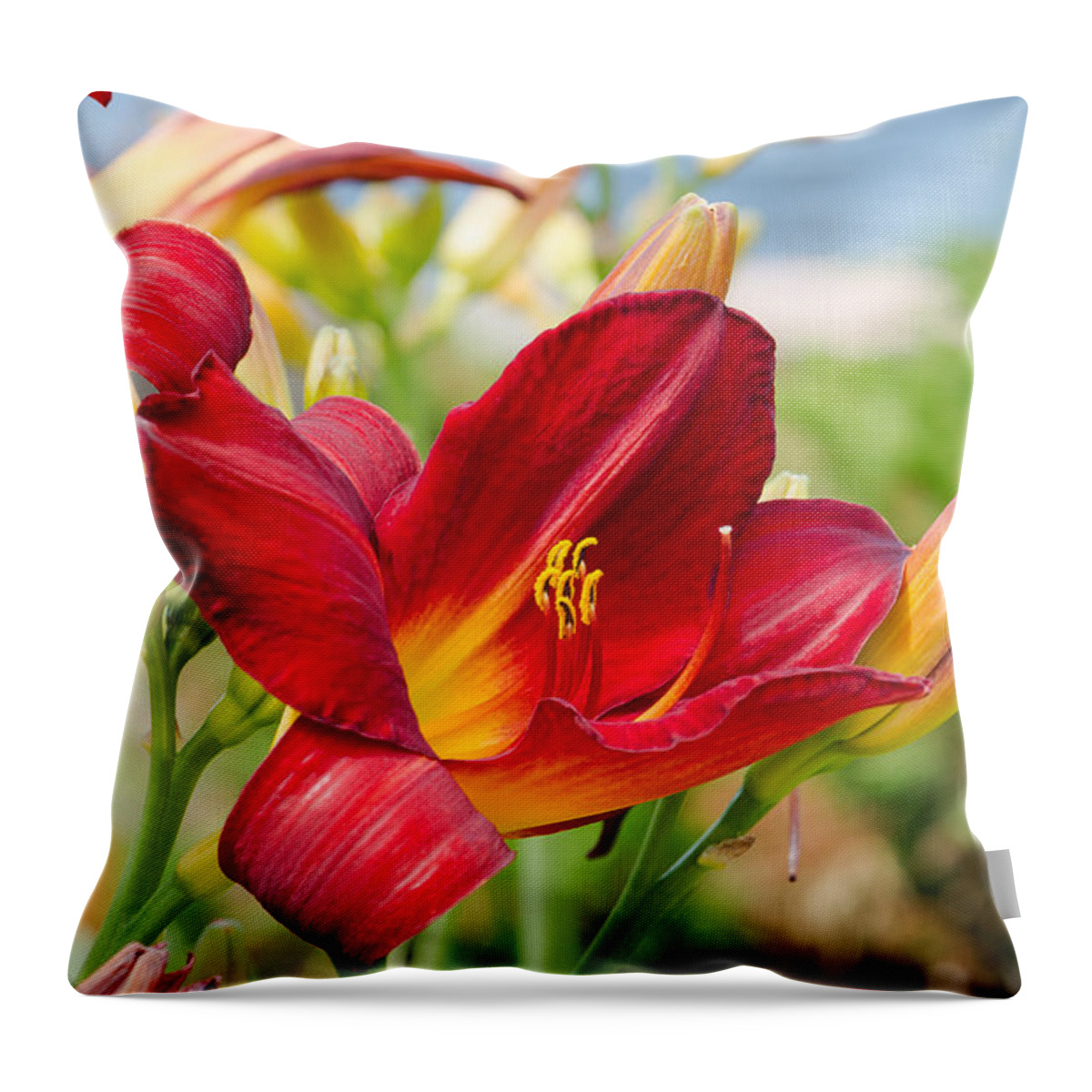 Day Throw Pillow featuring the photograph Red Orange Lily by the Lake by Andrew Miles