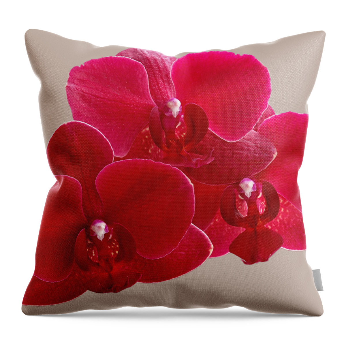 Red Orchid Throw Pillow featuring the photograph Red Orchid Trio by Gill Billington