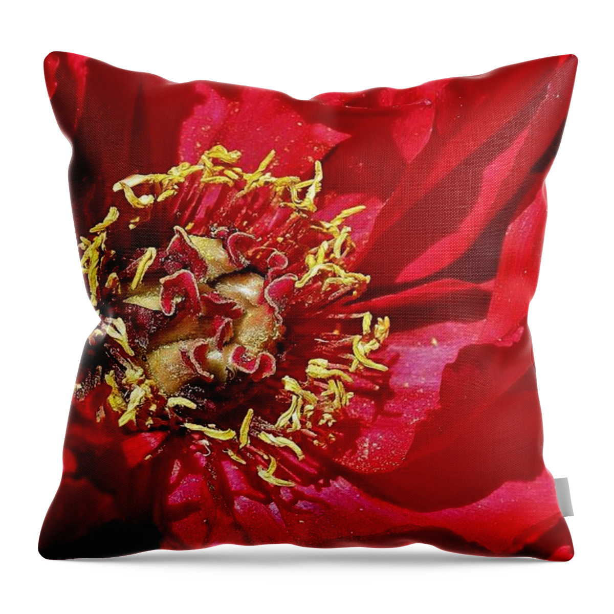  Throw Pillow featuring the photograph Red Peony in the Spring. by Bruce Bley