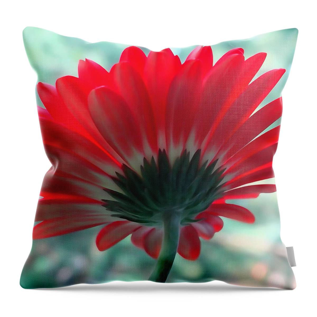 Backside Throw Pillow featuring the photograph Red Petals by David T Wilkinson