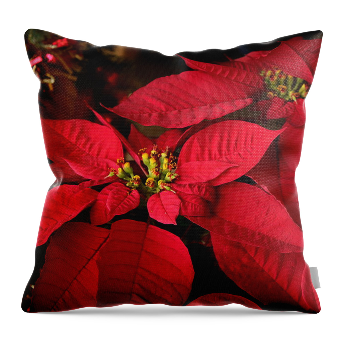 Red Throw Pillow featuring the photograph Red Poinsettia and Tinsel by Sheila Brown