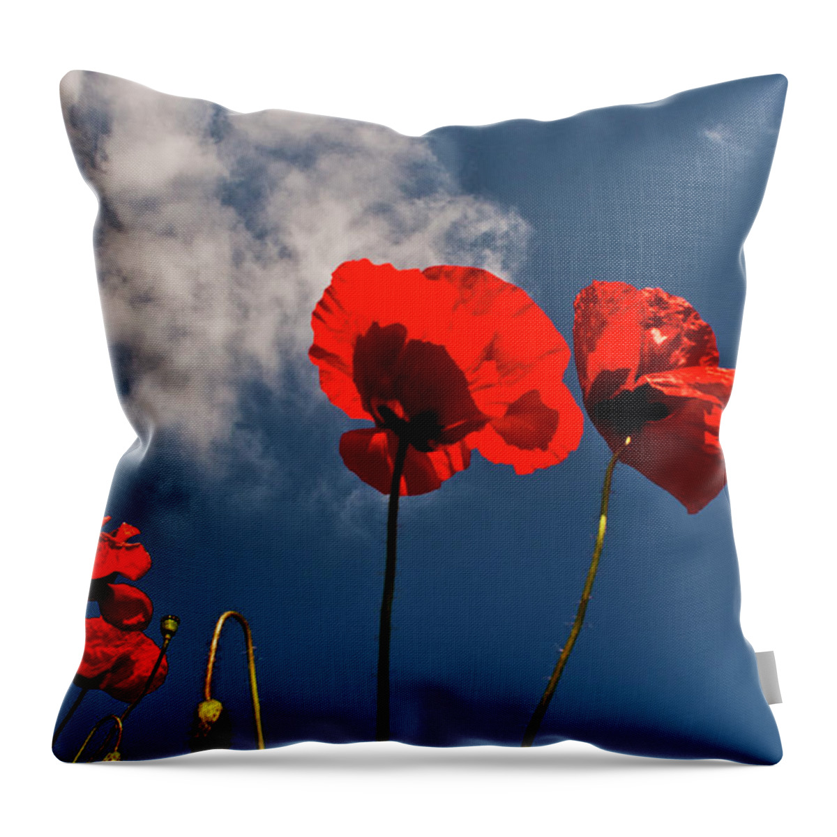 Nature Throw Pillow featuring the photograph Red Poppies on blue sky by Heiko Koehrer-Wagner