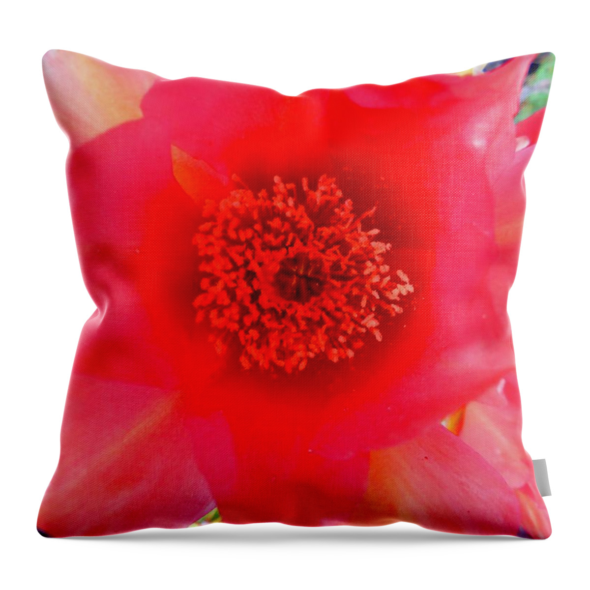 Arizona Throw Pillow featuring the photograph Red Prickly Pear Bloom 2 by Judy Kennedy