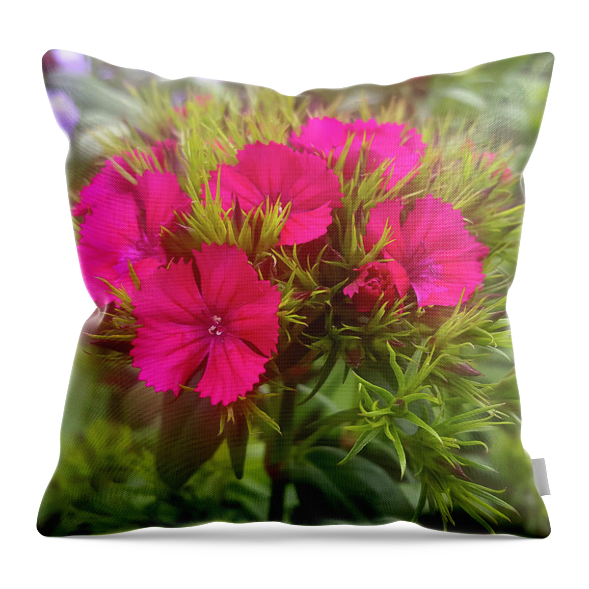 Red Flower Throw Pillow featuring the photograph Red-Purple Flower by Britten Adams