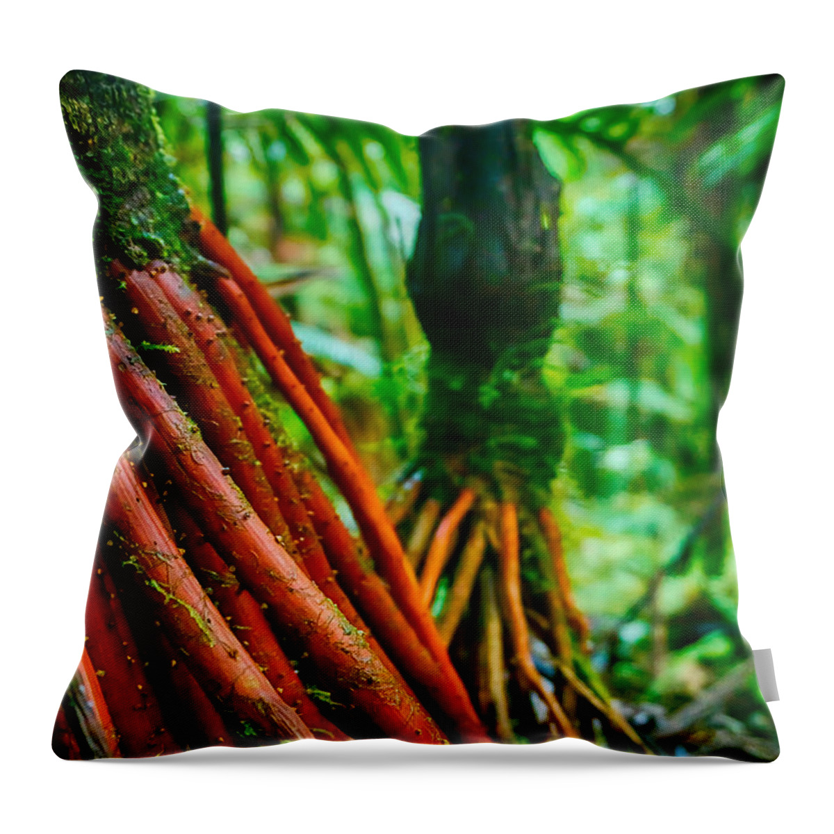 Red Throw Pillow featuring the photograph Red Roots by Amanda Jones