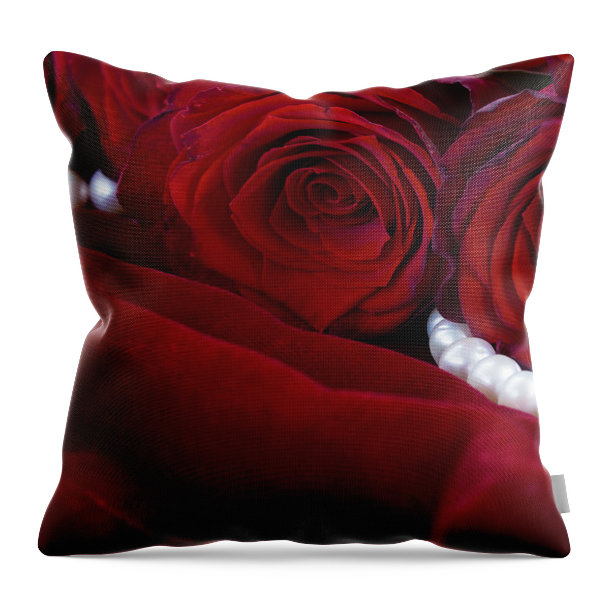 Rose Throw Pillow featuring the photograph Red Roses and Velvet by Anastasy Yarmolovich